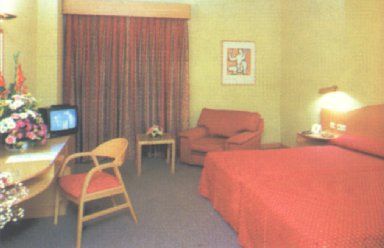 Diana Plus Hotel - Madrid, Madrid